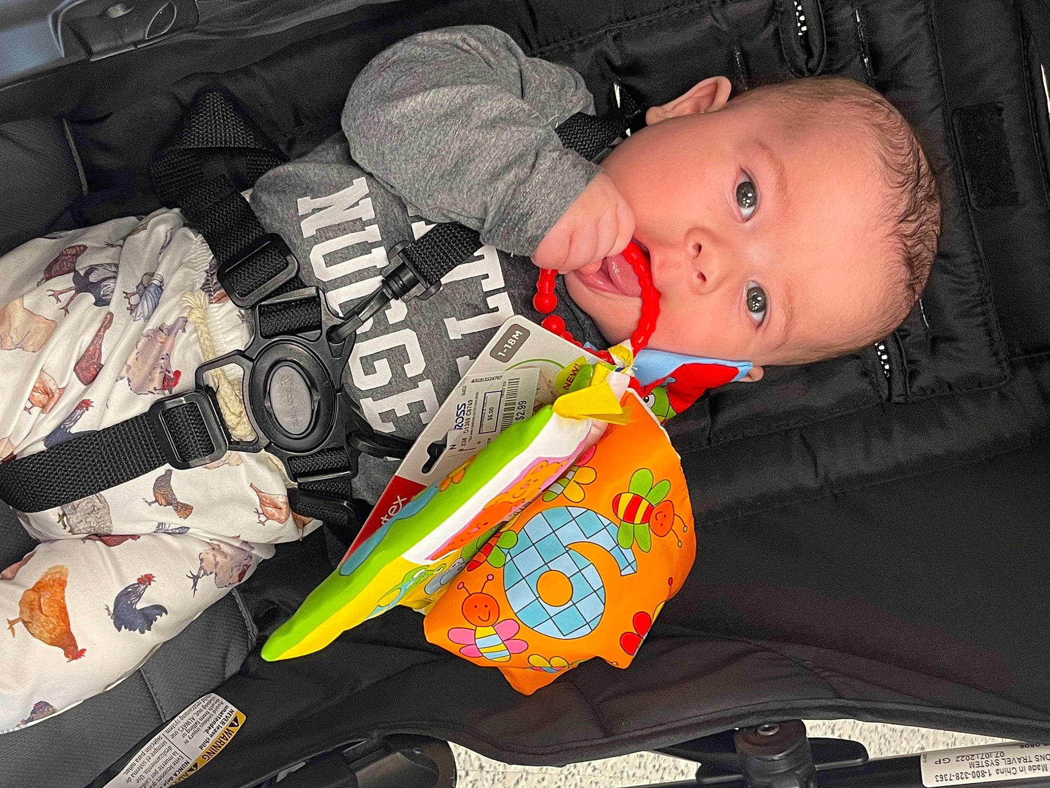 Brentlyn joined the competition — help win amazing prizes! auto_part, automotive_lighting, baby, baby_products, baby_toddler_clothing, bag, carmine, child, elbow, head, human_body, pattern, person, personal_protective_equipment, plastic, sitting, sleeve, space, toddler