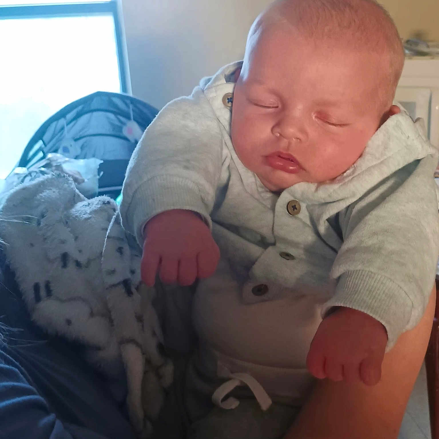 Spencer-Reed is registered to the contest to win money with this photo: arm, baby, blanket, child, clothing, couch, cozy, cute, face, hand, hoodie, indoor, infant, peaceful, person, portrait, relaxing, sleeping, soft_lighting, toddler