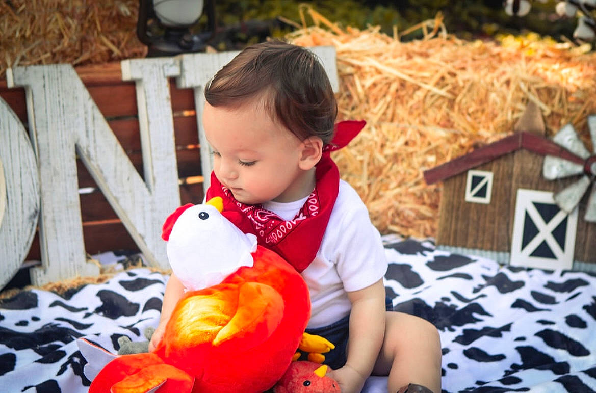 Easton is registered to the contest to win money with this photo: baby, baby_toys, child, event, fun, grass, happy, holiday, leisure, orange, person, play, plush, room, sitting, stuffed_toy, toddler, toy, tree, winter