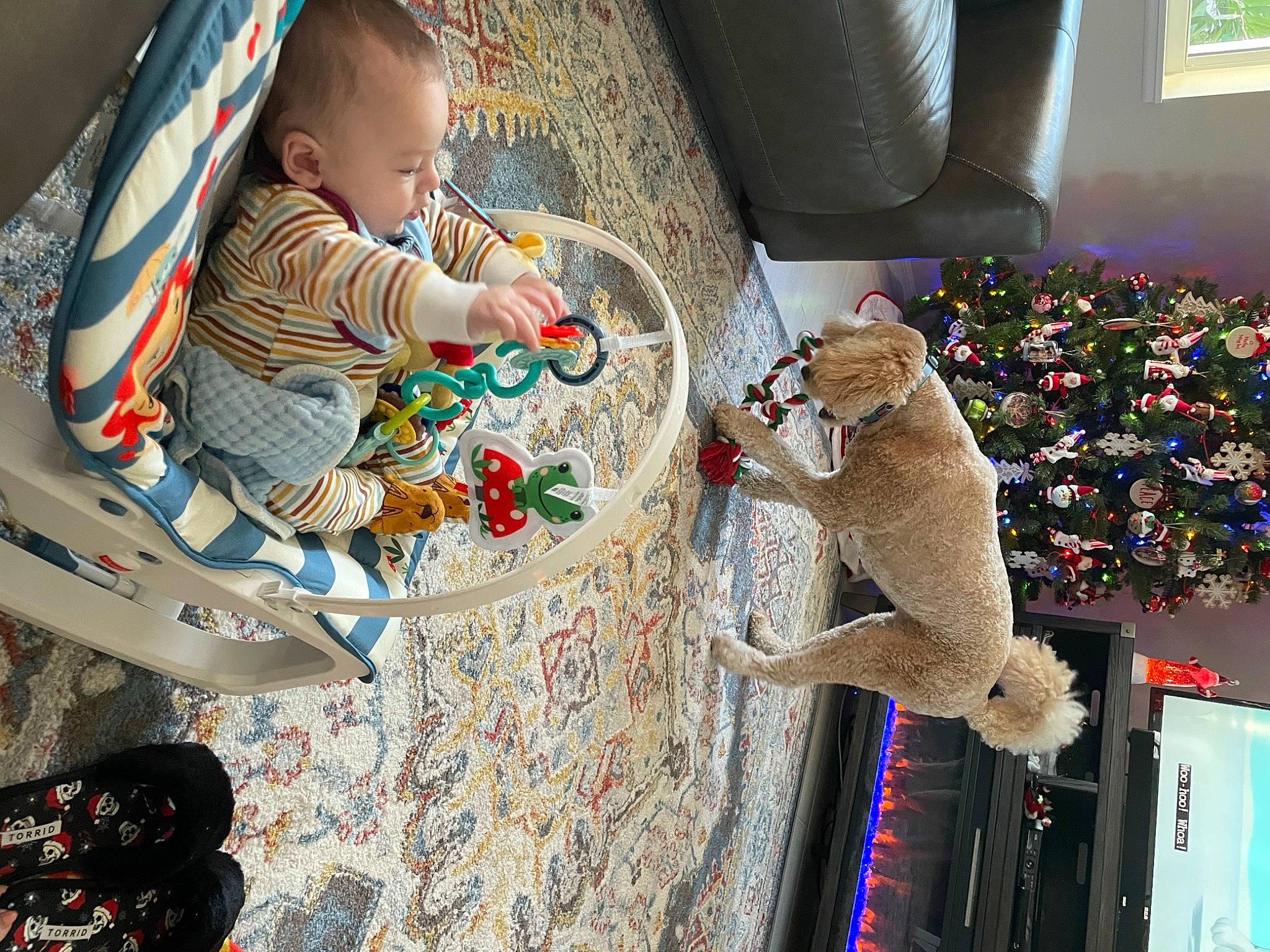 Easton joined the competition — help win amazing prizes! baby, baby_products, baby_toddler_clothing, baby_toys, chair, child, comfort, companion_dog, fun, fur, houseplant, linens, person, plush, room, sitting, stuffed_toy, teddy_bear, textile, toddler