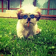 Spykie participe au concours pour gagner de l'argent avec cette photo :