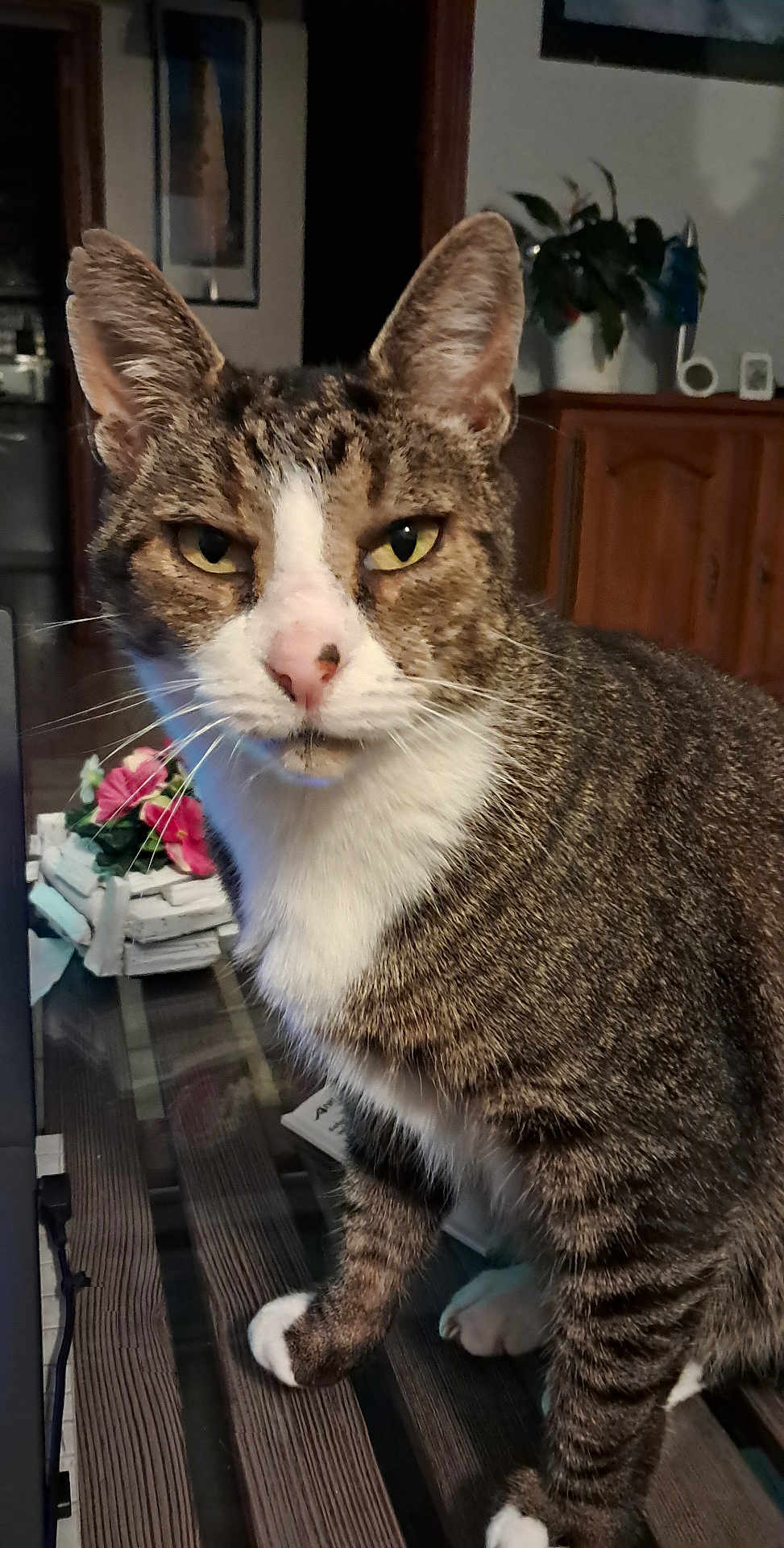 Léon