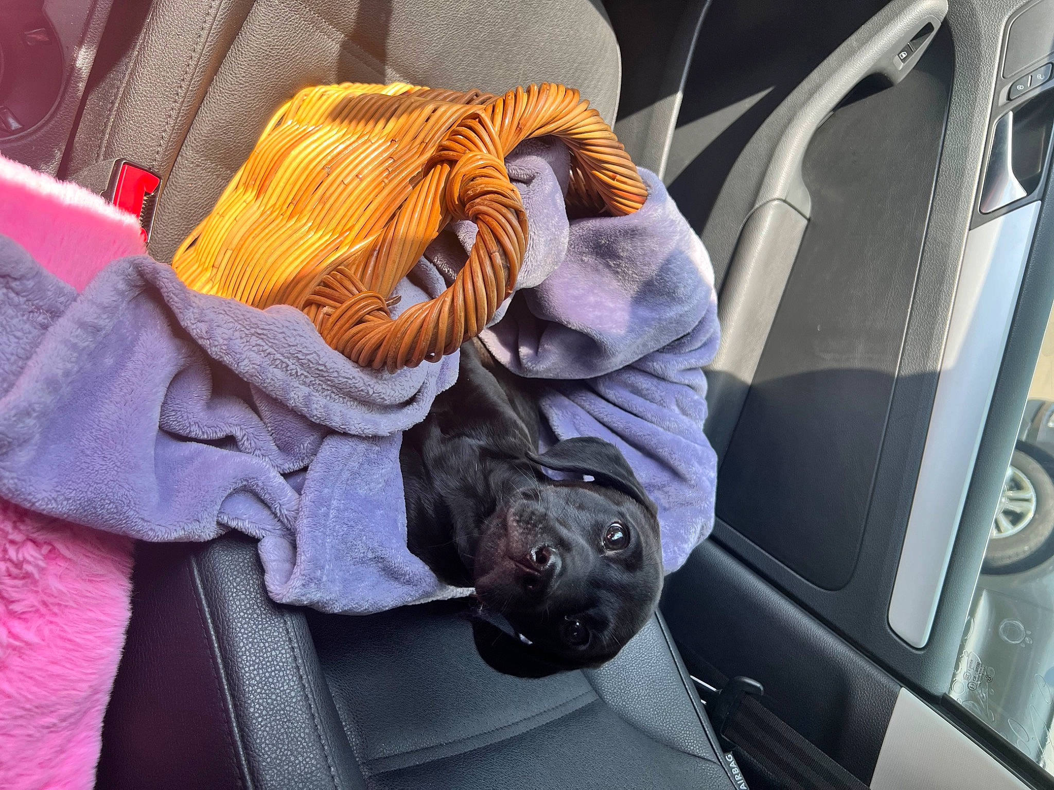 Yomi joined the competition — help win amazing prizes! auto_part, automotive_design, automotive_exterior, automotive_window_part, car, car_seat, car_seat_cover, comfort, family_car, head_restraint, luxury_vehicle, motor_vehicle, passenger, personal_luxury_car, purple, steering_wheel, travel, vehicle, vehicle_door, windshield