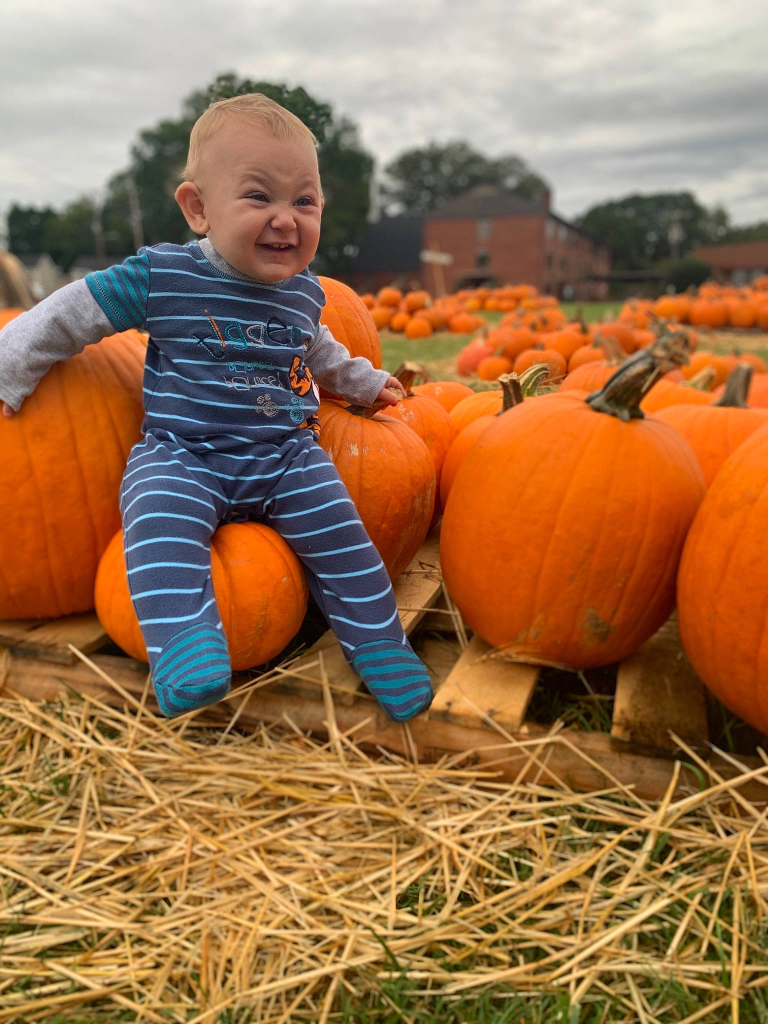 Love Bug is registered to the contest to win money with this photo: _and_melon_family, _gourd, calabaza, child, cucumber, cucurbita, farm, farmworker, food, fruit, gourd, harvest, hay, local_food, person, plant, produce, pumpkin, smile, squash