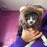 cat, costume, lion_mane, pet, animal, purple_hoodie, person, hand, indoor, wall, plant, power_outlet, cute, funny, portrait, feline, domestic_cat, fur, eyes, clothing