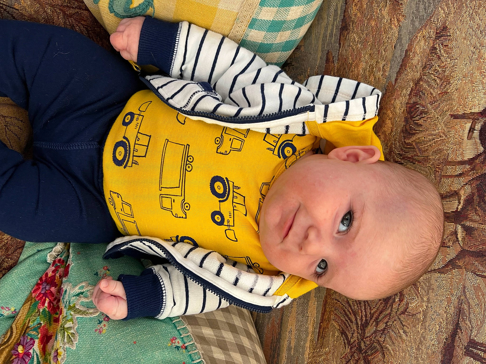 Bentley joined the competition — help win amazing prizes! baby, baby_products, baby_sleeping, baby_toddler_clothing, cheek, child, comfort, fun, fur, grass, happy, headgear, human_body, mouth, person, room, sitting, toddler, tree, wood