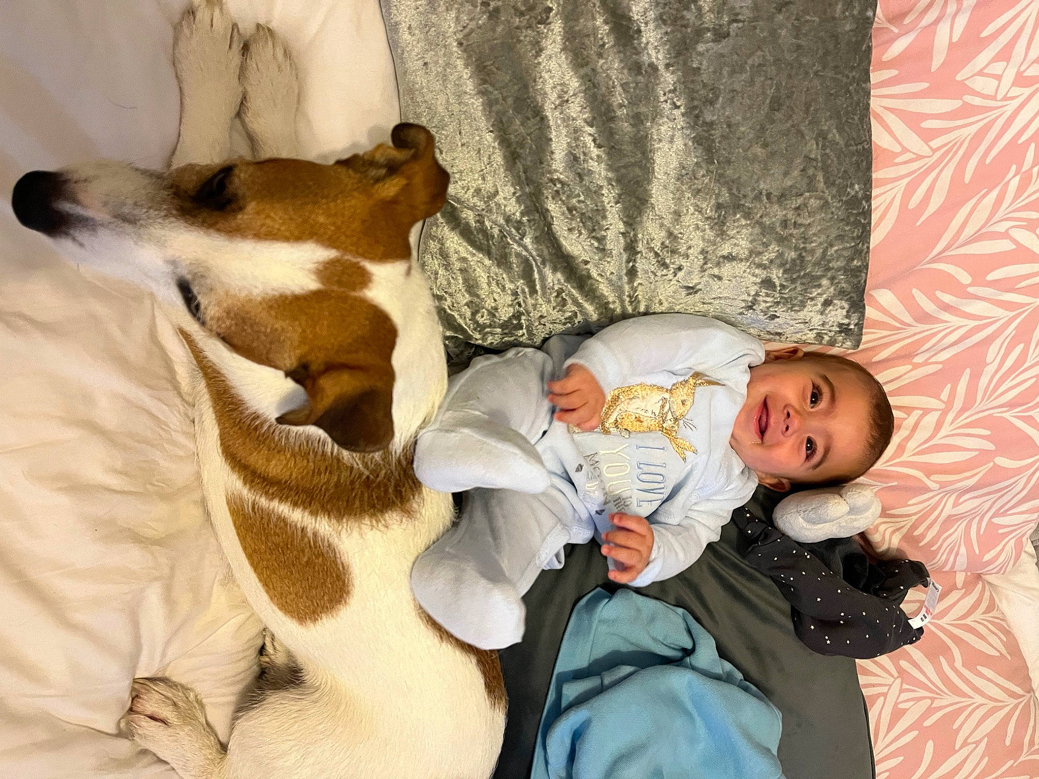 Louie is registered to the contest to win money with this photo: arm, baby, baby_toddler_clothing, carnivore, child, comfort, companion_dog, couch, dog, dog_breed, hand, happy, interaction, joy, lap, leg, linens, person, room, sitting