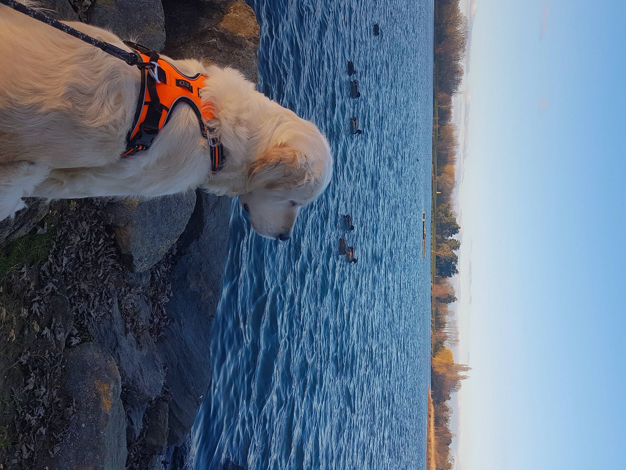 Loca participe au concours pour gagner de l'argent avec cette photo : adventure, beach, coast, electric_blue, freezing, fun, geology, lake, leisure, ocean, recreation, reflection, rock, sea, sky, soil, water, wave, winter, wood