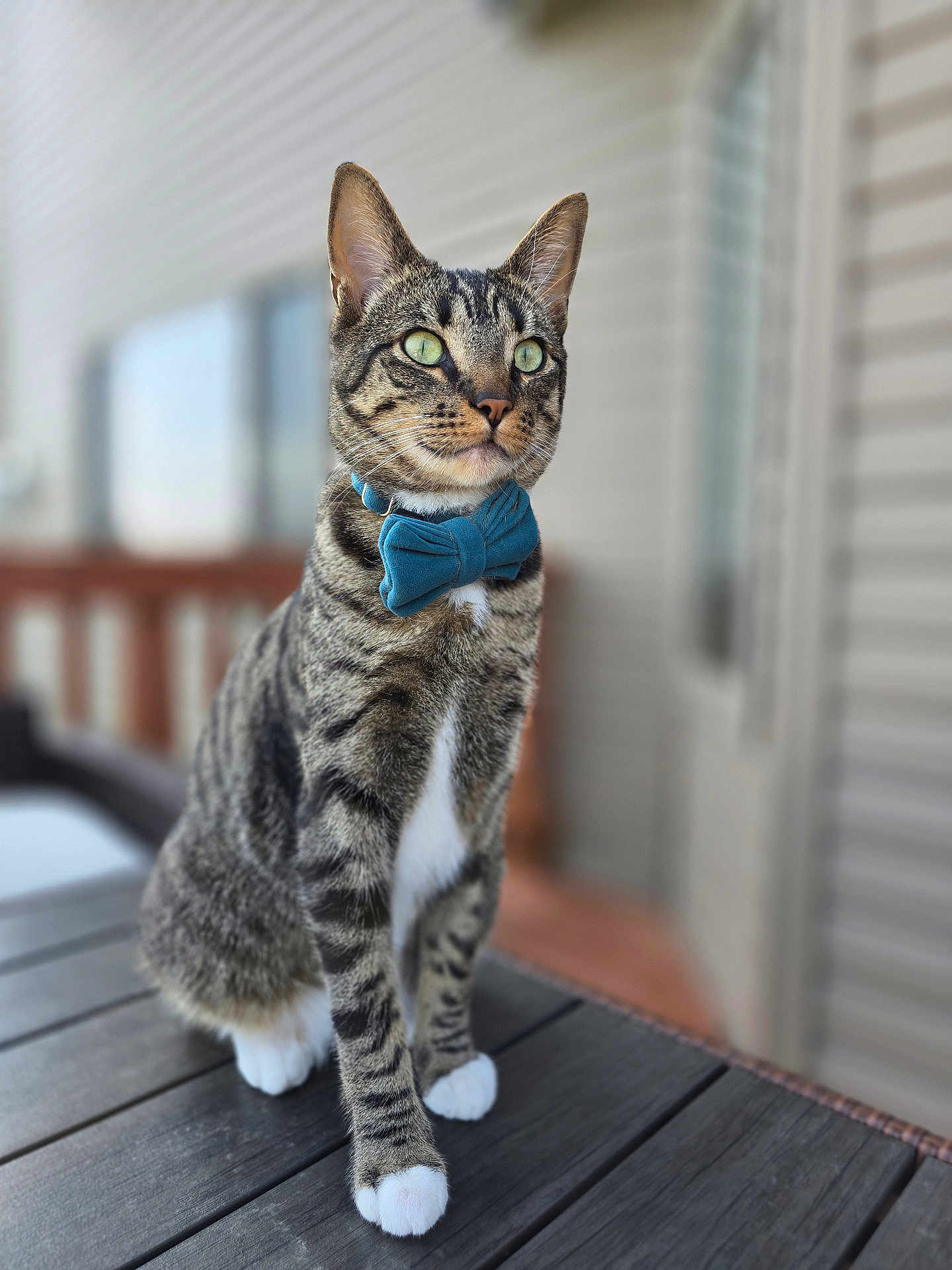 Milo