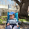 Oliver is registered to the contest to win money with this photo: toddler, child, stroller, blue_cap, mickey_mouse, outdoor, spring, blossoms, tree_trunk, nature, sunlight, casual_clothing, pants, long_sleeve_shirt, side_view, greenery, park, daylight, young_child, seated