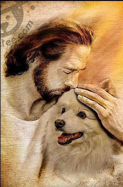 Hooper is registered to the contest to win money with this photo: art, beard, carnivore, companion_dog, dog, dog_breed, drawing, eyelash, fang, fawn, happy, illustration, jaw, nose, paint, painting, shout, snout, spitz, visual_arts