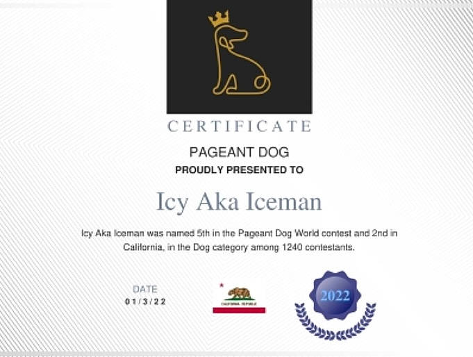 Icy Aka Iceman joined the competition — help win amazing prizes! brand, circle, document, electric_blue, font, graphic_design, graphics, label, logo, paper, paper_product, pattern, publication, rectangle, sleeve