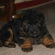 Jorgen participe au concours pour gagner de l'argent avec cette photo :