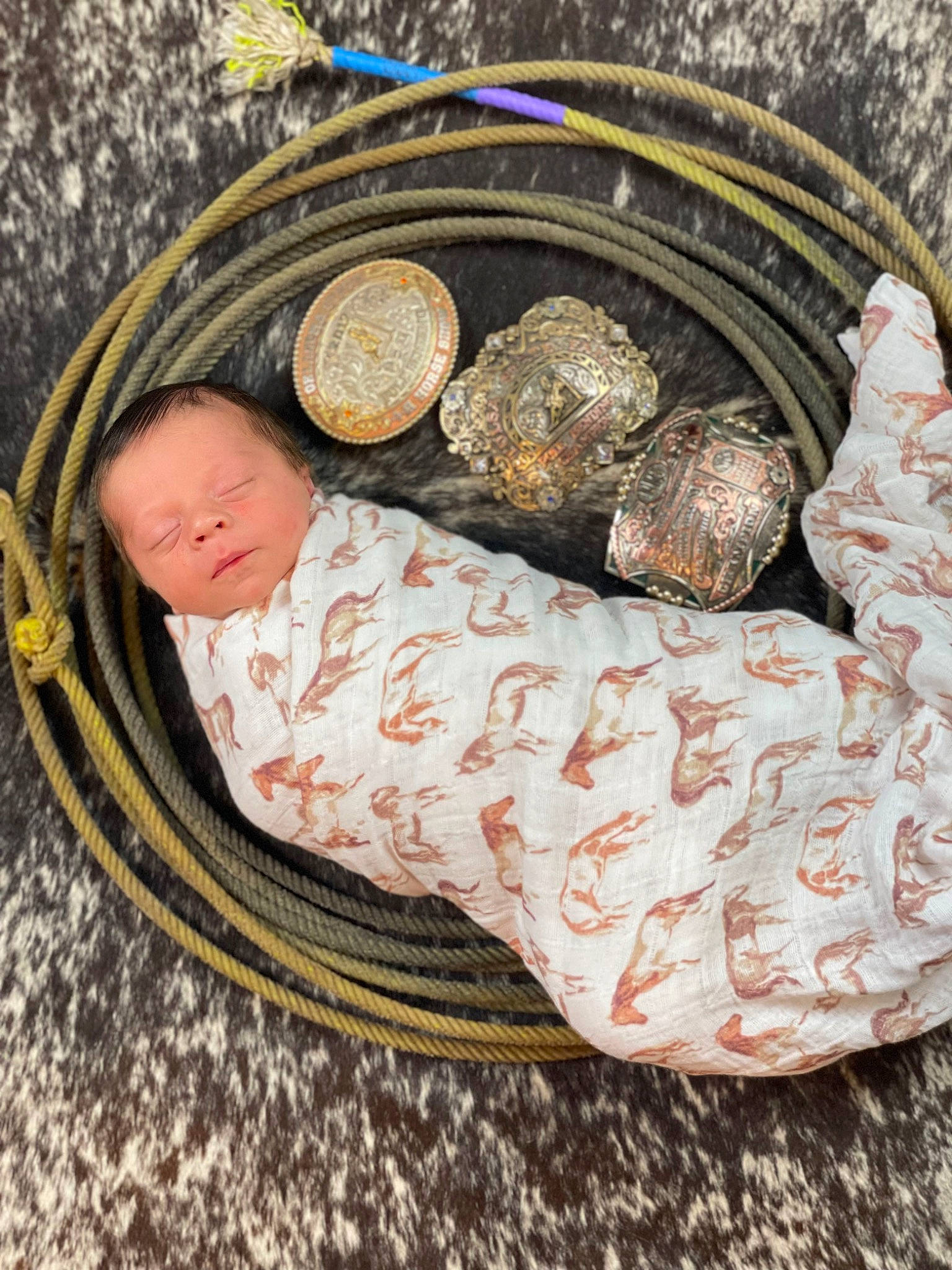 Colt is registered to the contest to win money with this photo: baby, baby_products, brown, circle, comfort, cuisine, fashion_accessory, grass, pattern, person, reptile, rock, shell, toddler, toy, wood