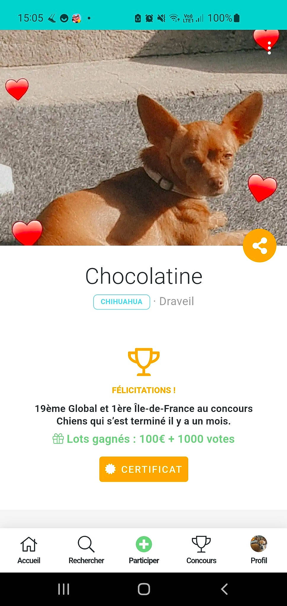 Chocolatine