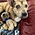 Roxy