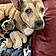 Roxy