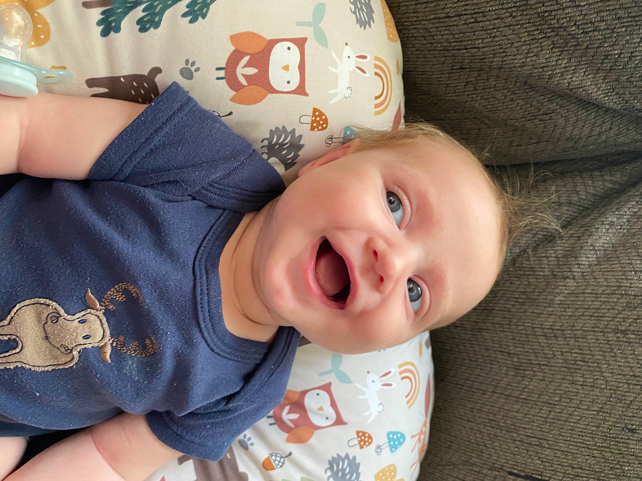 Blake is registered to the contest to win money with this photo: baby, baby_toddler_clothing, cheek, child, chin, collar, comfort, elbow, happy, lip, mouth, nose, pattern, person, sitting, skin, sleeve, smile, toddler, wood