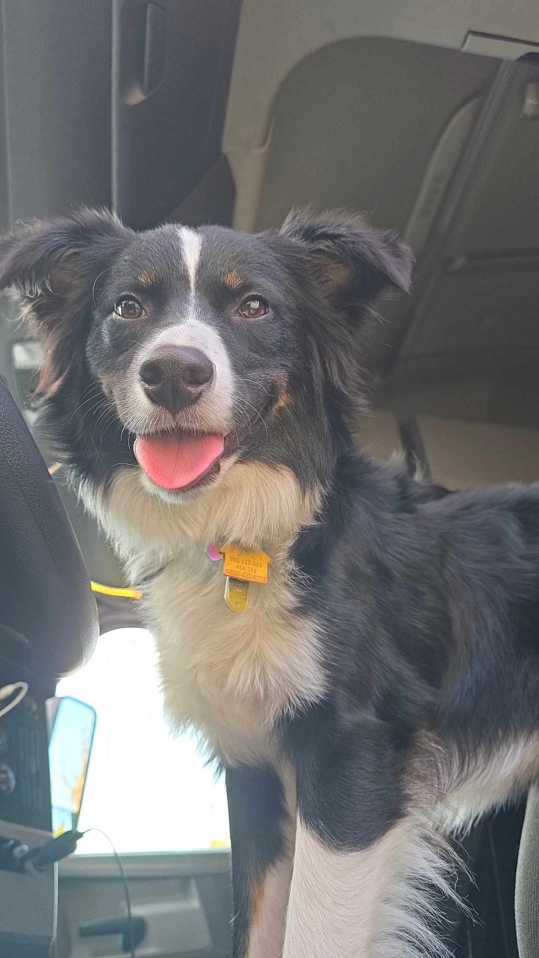 Cooper