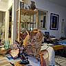 Sheran participe au concours pour gagner de l'argent avec cette photo : books, cat, cluttered, cozy, cup, curious, decorations, display_cabinet, figurine, furniture, glass, household_items, indoor, mirror, orange_tabby, ornament, room, statue, table, wall_art