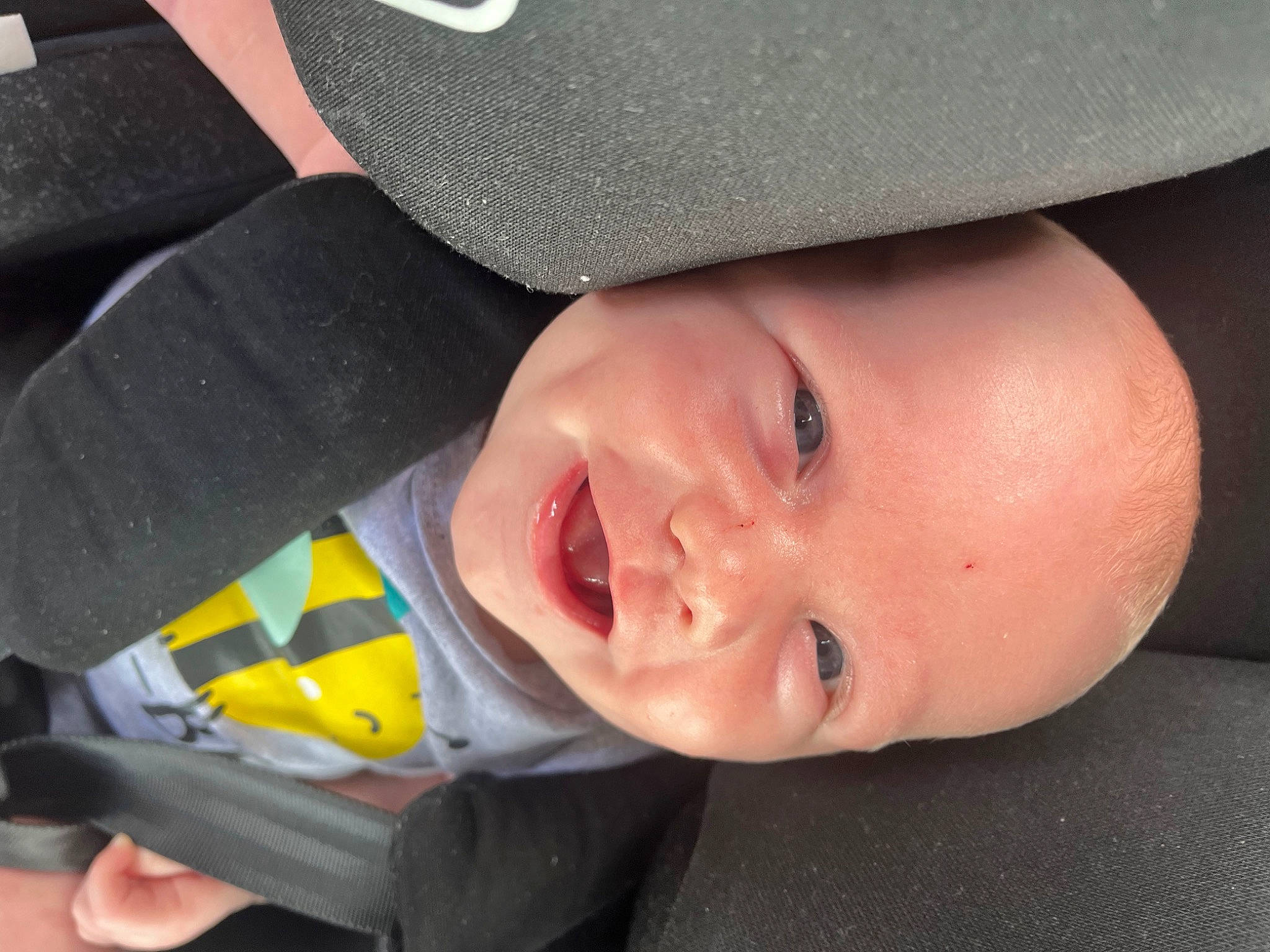 Tyler is registered to the contest to win money with this photo: auto_part, baby, cap, cheek, chin, cool, eyebrow, eyelash, forehead, happy, hat, headgear, lip, nose, person, plant, skin, smile, toddler, tree