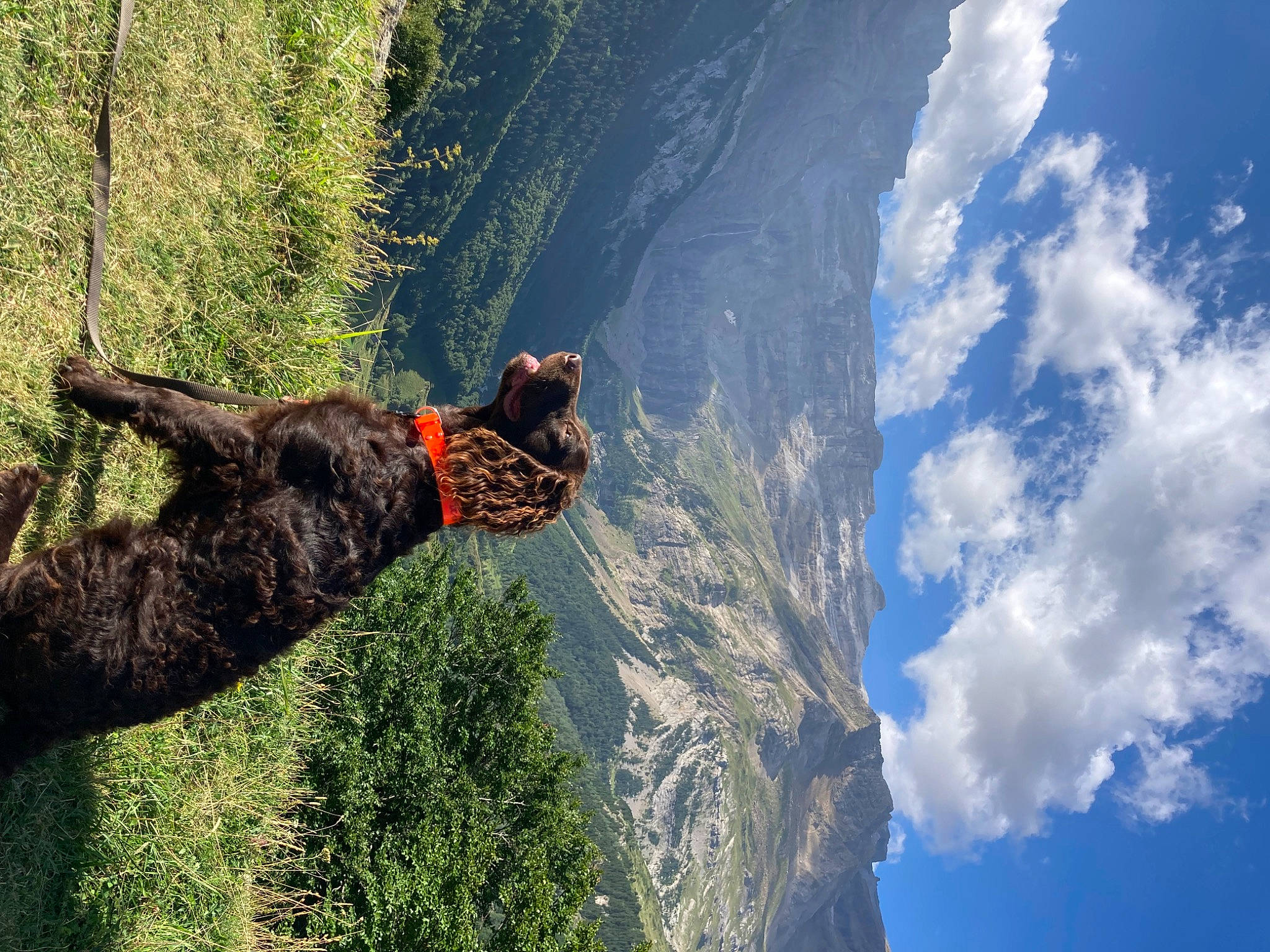 Stayaut participe au concours pour gagner de l'argent avec cette photo : adventure, cloud, cumulus, extreme_sport, geological_phenomenon, klippe, landscape, leisure, mountain, mountain_range, mountainous_landforms, plant, recreation, rock, rope, sky, sport_climbing, tree, trunk, wilderness
