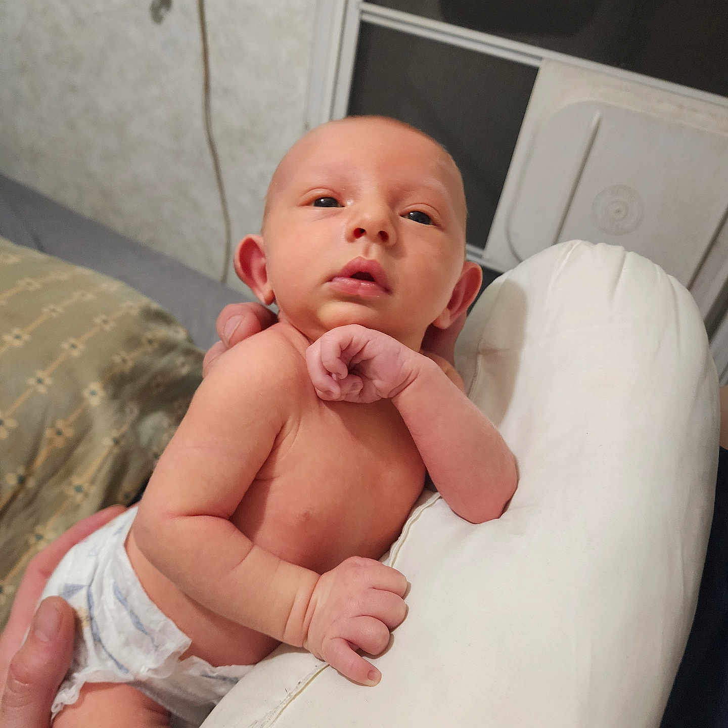 Josiah joined the competition — help win amazing prizes! baby, newborn, infant, diaper, hand, face, skin, person, indoor, cushion, window, furniture, bed, portrait, expression, curious, holding, resting, small, child