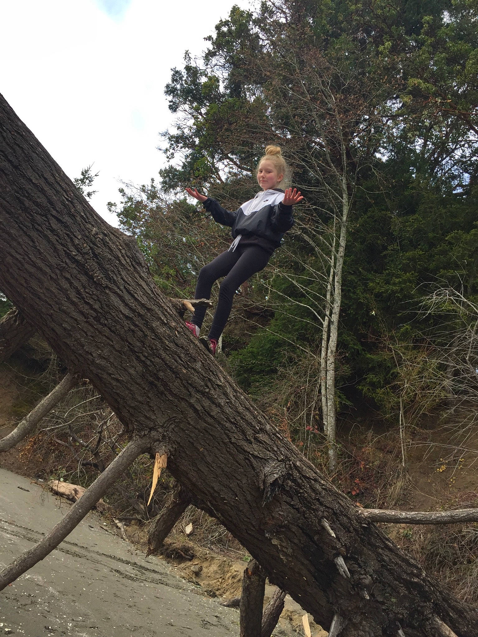 Jaelyn is registered to the contest to win money with this photo: adventure, branch, flip_acrobatic, freestyle_walking, joy, person, photography, plant, recreation, tree, wood, woody_plant