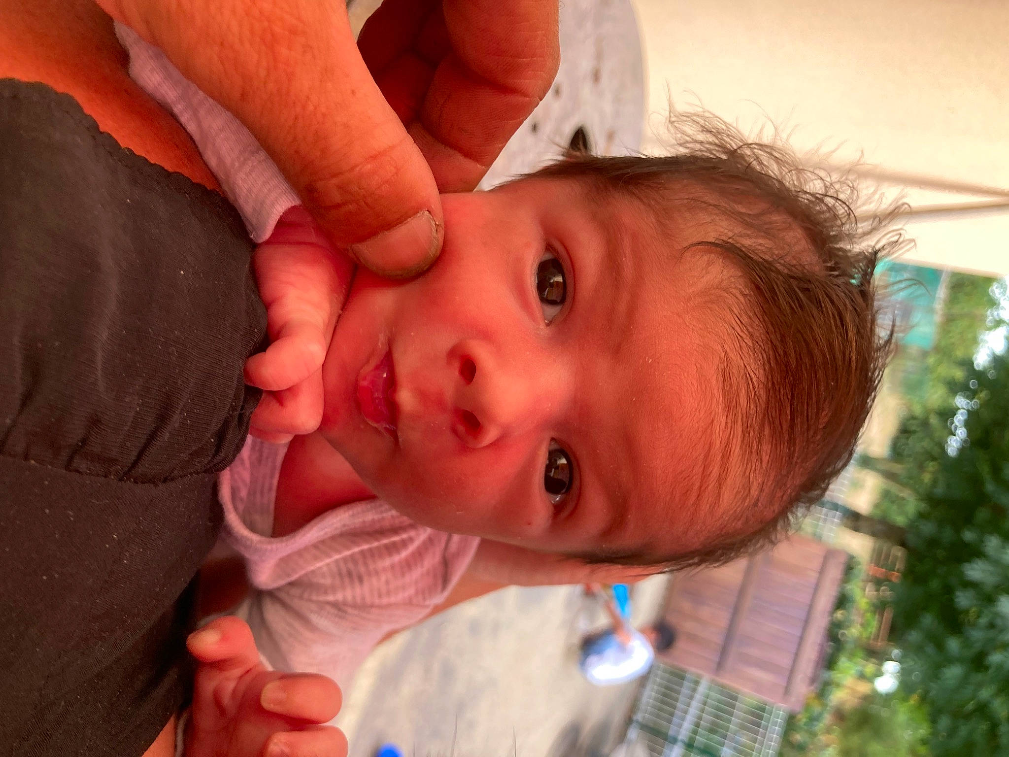 Tiwen a rejoint le concours — aidez-le/la à gagner de superbes lots ! baby, cheek, chest, child, ear, eyebrow, eyelash, finger, fun, hair, happy, human_body, iris, lip, mouth, nose, person, plant, toddler, tree