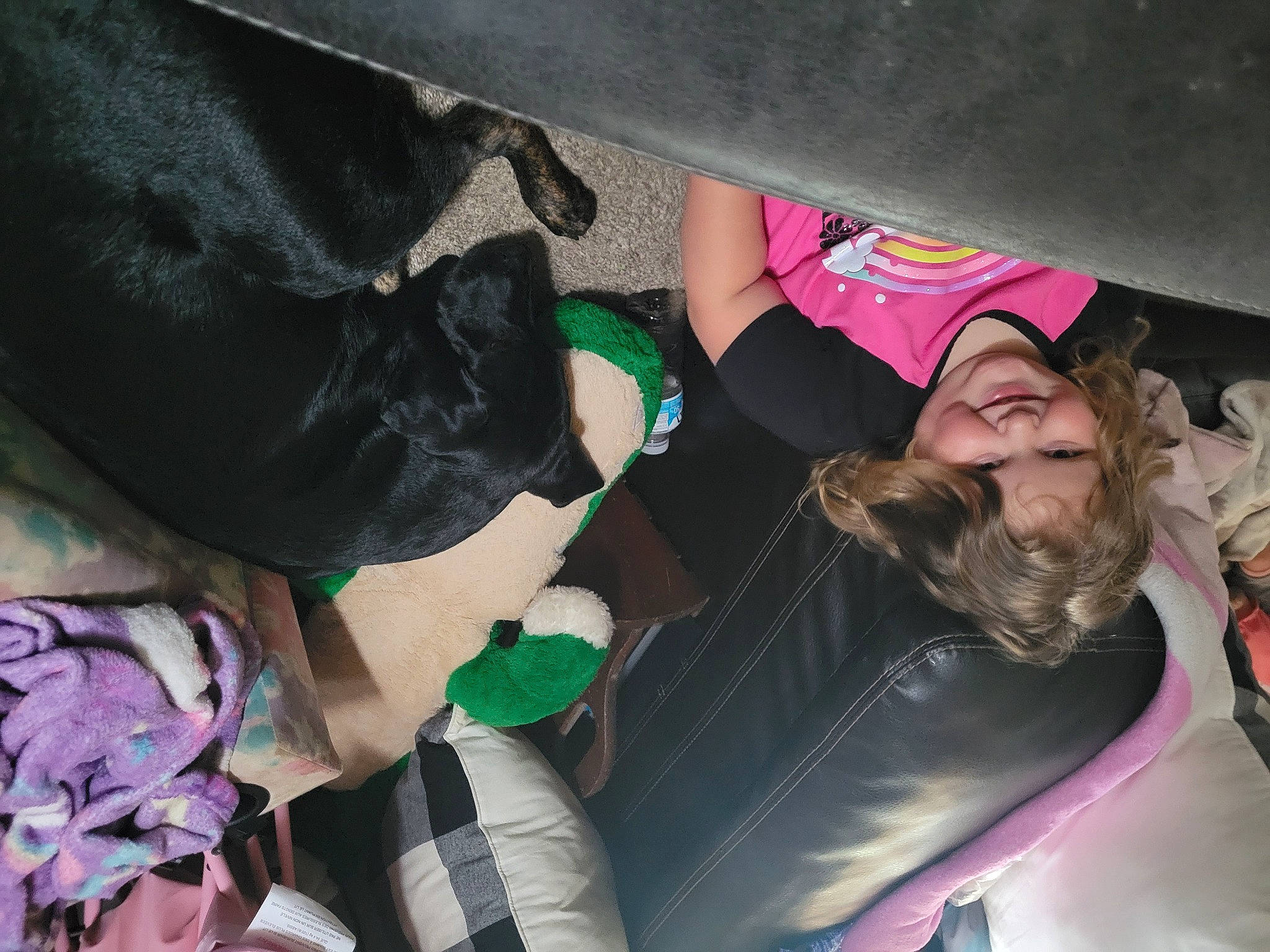 Makayla joined the competition — help win amazing prizes! adventure, child, comfort, companion_dog, cool, dog_breed, fun, fur, human_body, joy, leg, leisure, magenta, mouth, organism, person, pink, play, recreation, sitting