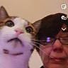 cat, person, selfie, portrait, indoors, face, eyes, whiskers, white_fur, brown_fur, glasses, close_up, pet, animal, human, smartphone, snapchat, vertical_photo, looking_at_camera, funny_expression