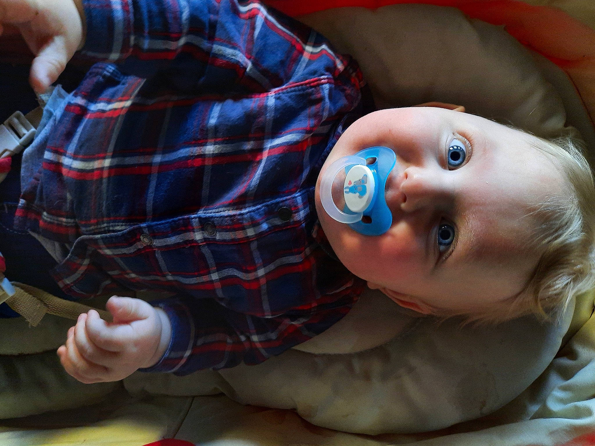 Morgan participe au concours pour gagner de l'argent avec cette photo : baby, baby_toddler_clothing, cheek, eye, eyelash, finger, flash_photography, fun, hand, human, joy, lip, mammal, mouth, nose, person, plaid, skin, sleeve, smile
