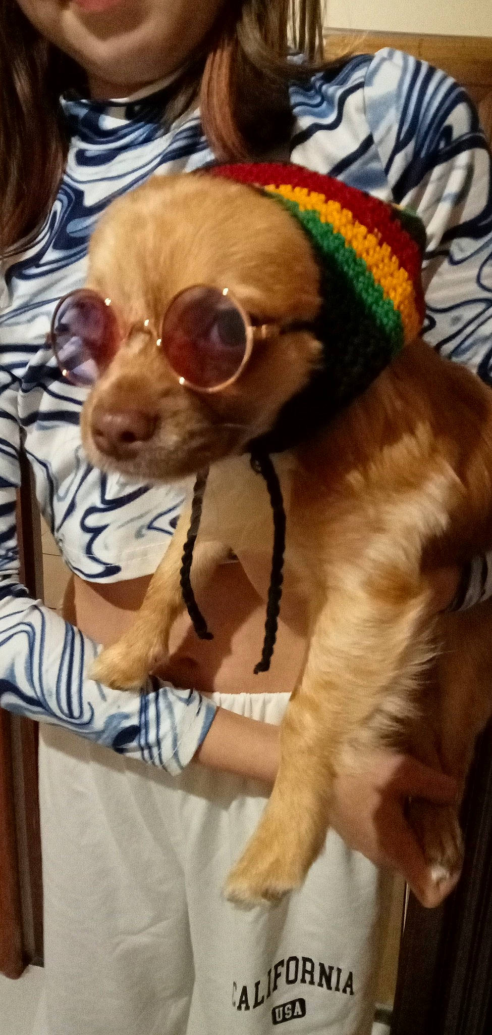 Topaze a rejoint le concours — aidez-le/la à gagner de superbes lots ! cap, carnivore, companion_dog, costume_hat, dog, dog_breed, dog_clothes, dog_supply, eyewear, fashion_accessory, fawn, fun, fur, leash, liver, personal_protective_equipment, snout, sporting_group, sunglasses, working_animal