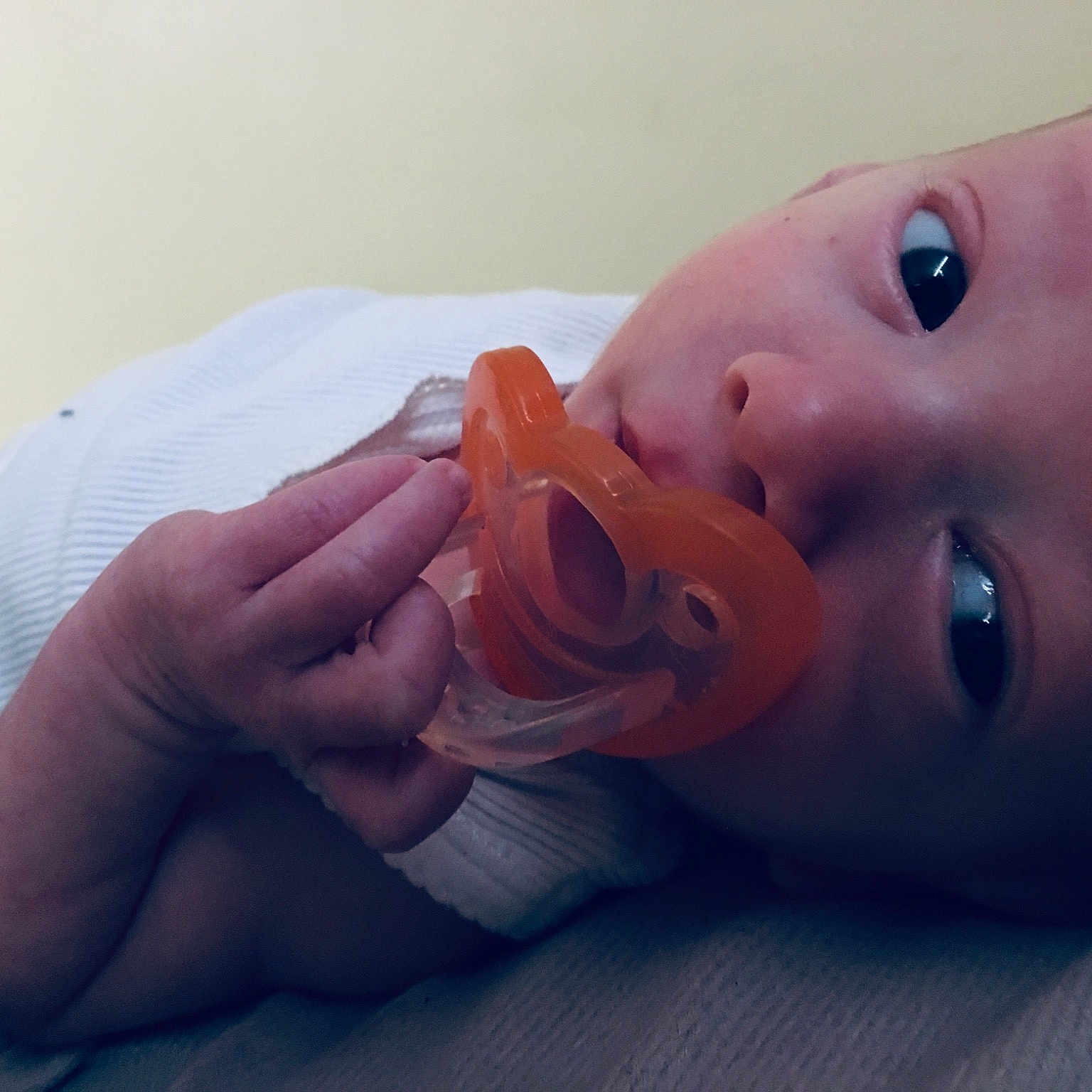 Mace joined the competition — help win amazing prizes! baby, birth, bottle, cheek, child, close_up, ear, eye, finger, hand, lip, mouth, nail, nose, skin, smile, thumb, toddler