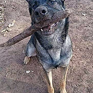 Eenie is registered to the contest to win money with this photo: