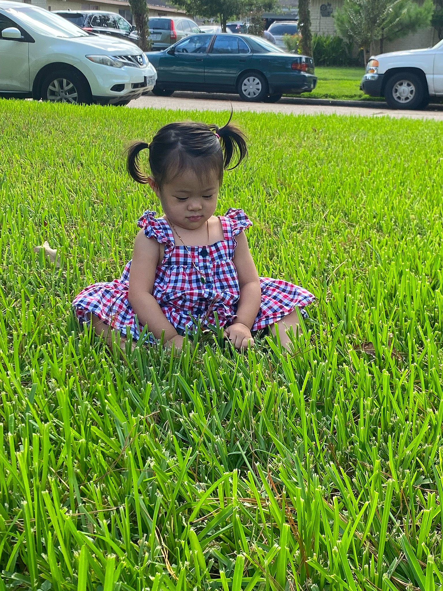 Jolie joined the competition — help win amazing prizes! automotive_tire, car, grass, grassland, groundcover, hat, land_vehicle, landscape, leisure, meadow, people_in_nature, person, plant, recreation, shrub, tire, toddler, tree, vehicle, vehicle_door