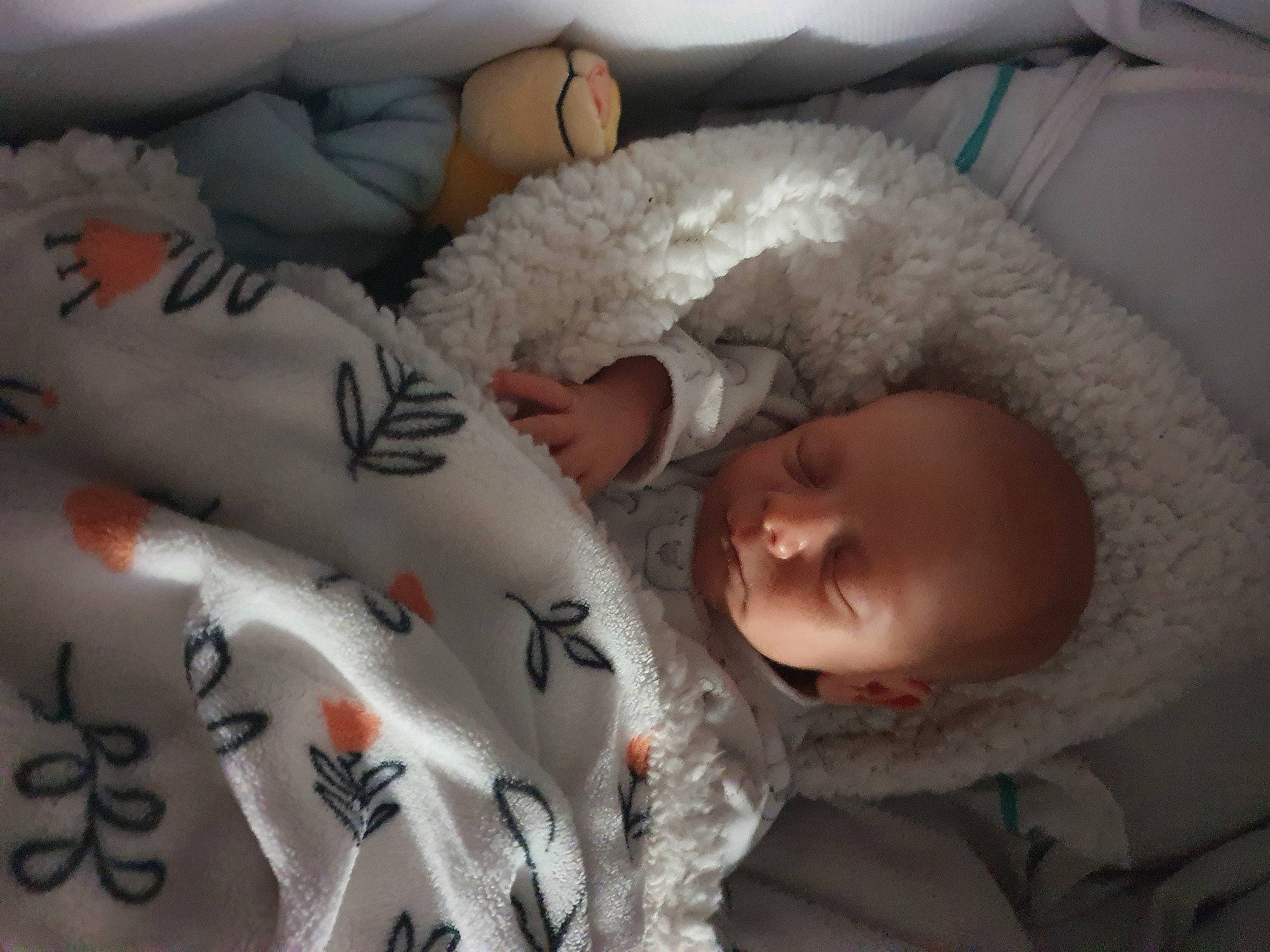 Noah participe au concours pour gagner de l'argent avec cette photo : baby, baby_products, baby_sleeping, baby_toddler_clothing, bedtime, carmine, child, comfort, event, font, fur, handwriting, happy, linens, nap, pattern, person, room, skin, smile