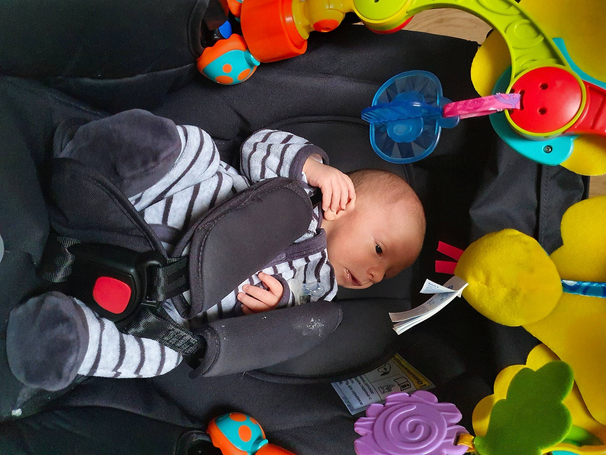 Noah a rejoint le concours — aidez-le/la à gagner de superbes lots ! baby, baby_carriage, baby_products, baby_safety, baby_toddler_clothing, baby_toys, balloon, car_seat, child, circle, comfort, fun, happy, person, play, product, room, sitting, toddler, toy