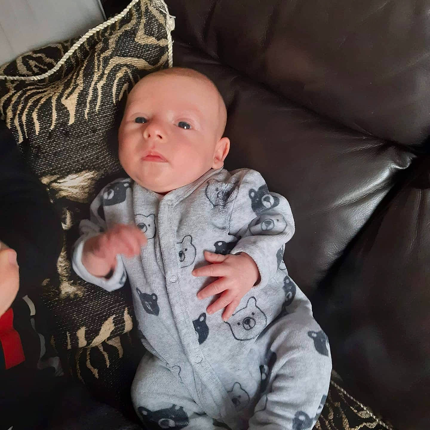 Noah participe au concours pour gagner de l'argent avec cette photo : baby, baby_products, baby_toddler_clothing, cheek, child, comfort, couch, eye, face, fur, gesture, head, iris, mouth, nose, person, skin, sleeve, textile, thumb