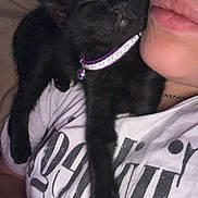 Ellie joined the competition — help win amazing prizes! black_cat, kitten, sleeping, collar, bell, person, face, cheek, white_tshirt, text, arm, watch, closeup, snuggling, pet, indoor, relaxing, cute, cozy, resting