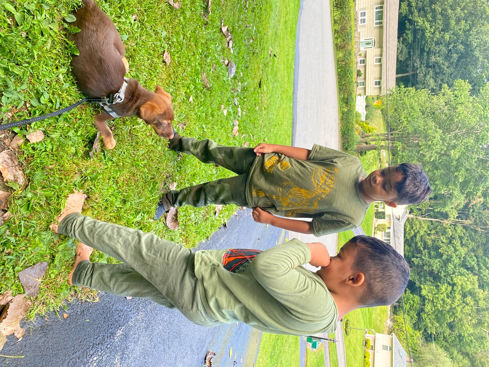 Jack is registered to the contest to win money with this photo: adaptation, botany, fun, grass, green, happy, lawn, leisure, military_camouflage, people_in_nature, plant, play, recreation, shoe, shrub, sneakers, t_shirt, tree, woody_plant, yellow