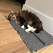Pink is registered to the contest to win money with this photo: cat, feline, pet, long_hair, fluffy, tongue, yawning, paws, white_paws, whiskers, mat, felt_mat, hardwood_floor, baseboard, wall, indoor, relaxed, laying_down, cozy, home_interior
