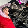 Myka Blu is registered to the contest to win money with this photo: child, dog, sleeping, blanket, bed, pillow, indoor, resting, cozy, nap, fur, pet, comfort, peaceful, closeup, human, animal, face, head, relaxation
