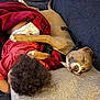 Mr.beffy is registered to the contest to win money with this photo: child, dog, sleeping, couch, blanket, curly_hair, diaper, red_clothing, tan_dog, harness, indoor, resting, cozy, paw, friendship, napping, soft_fabric, cushion, relaxation, companion