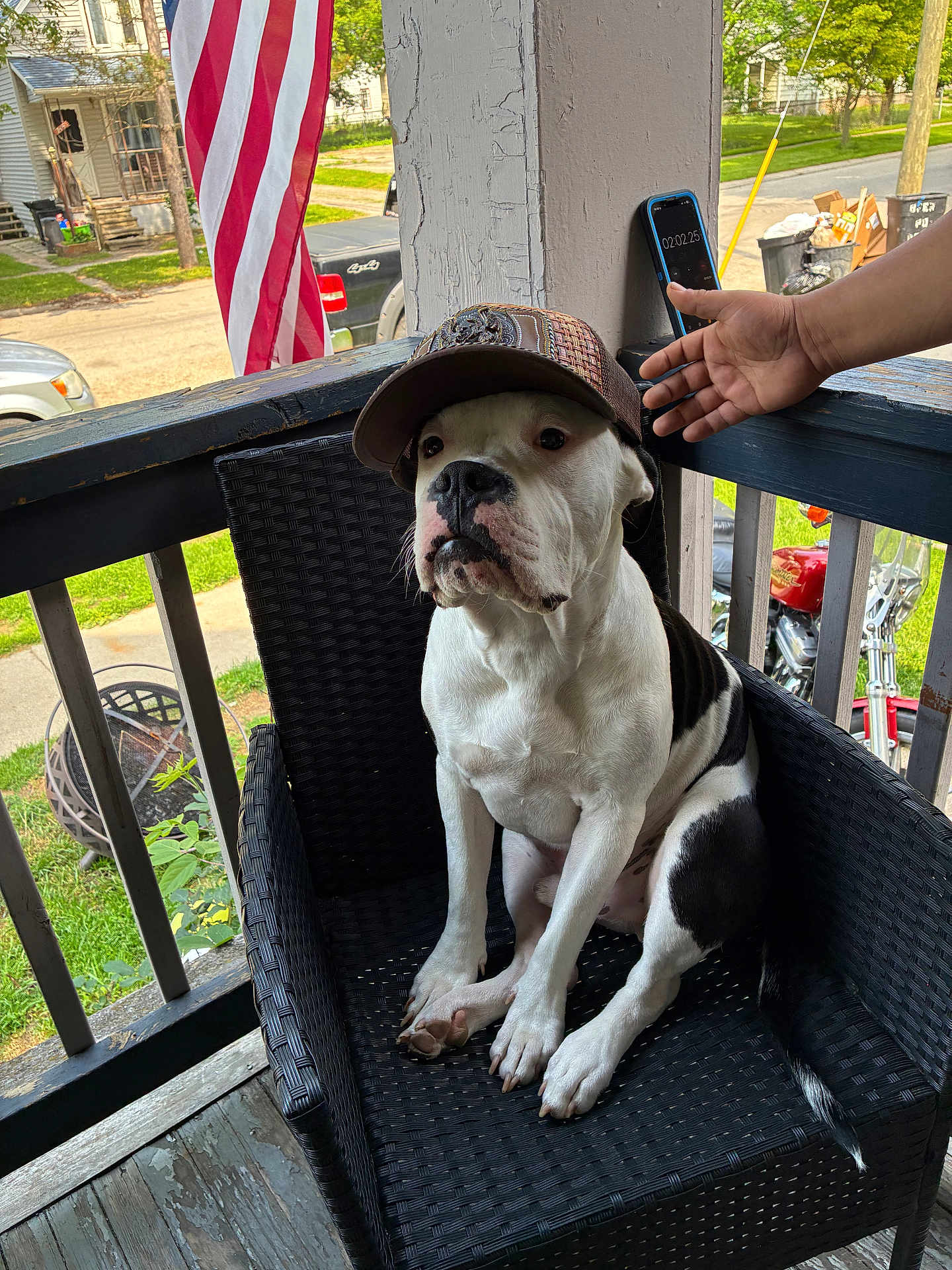 Petey