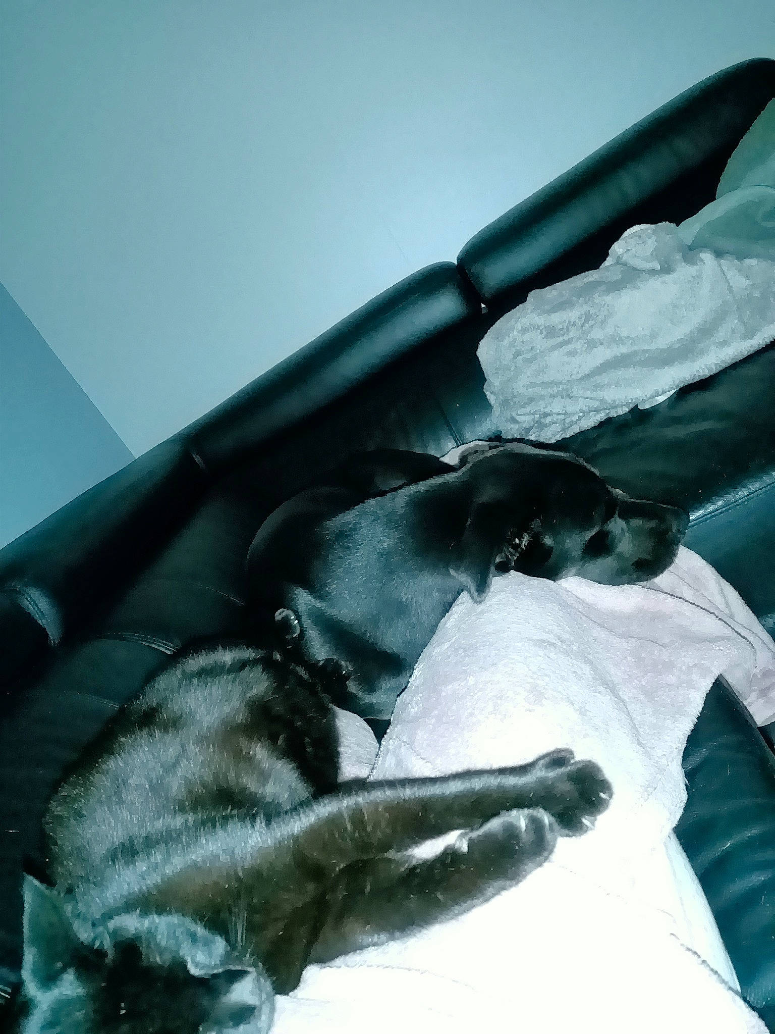 Olga a rejoint le concours — aidez-le/la à gagner de superbes lots ! arm, black_and_white, hand