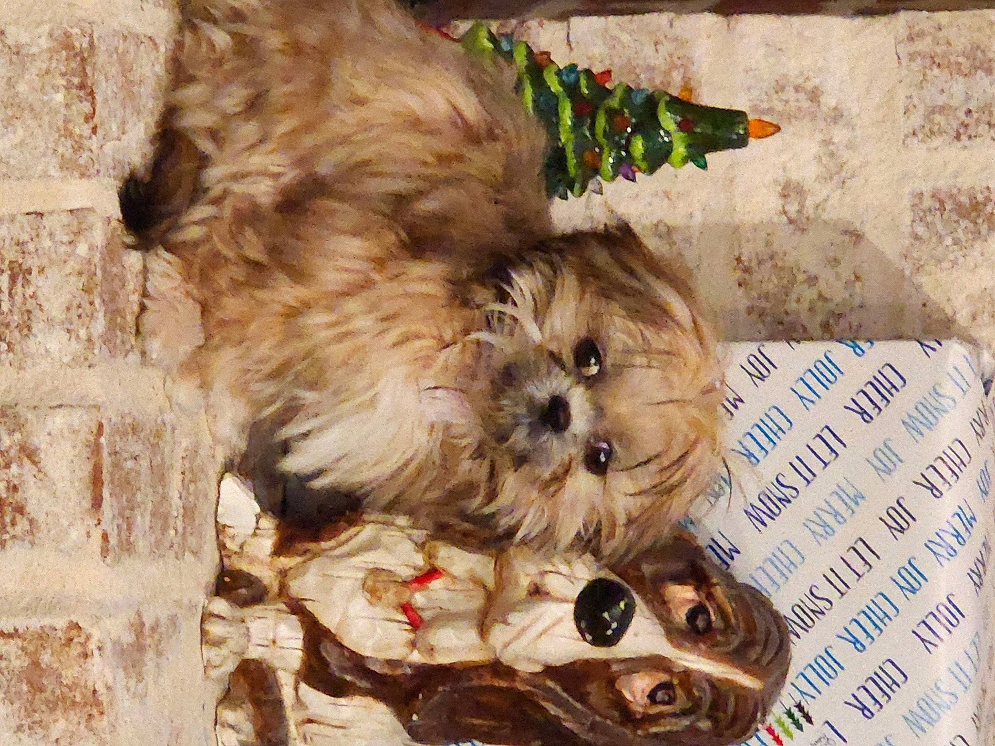 Sable joined the competition — help win amazing prizes! canidae, carnivore, companion_dog, dog, dog_breed, dog_supply, fawn, fur, liver, pet_supply, small_terrier, snout, sporting_group, terrier, toy, toy_dog, wood, working_animal, yorkipoo, yorkshire_terrier