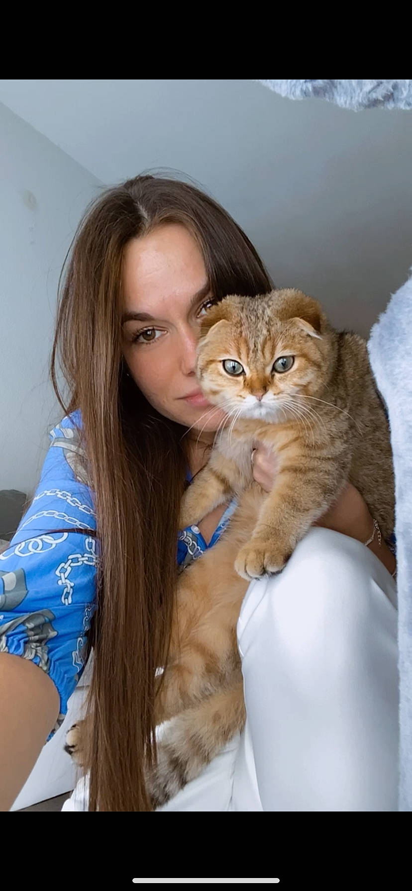 Romarin participe au concours pour gagner de l'argent avec cette photo : brown_hair, carnivore, cat, comfort, companion_dog, domestic_short_haired_cat, electric_blue, fawn, felidae, fur, gesture, happy, human_leg, iris, long_hair, shoulder, skin, small_to_medium_sized_cats, trunk, whiskers