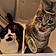 Eliot And Petey