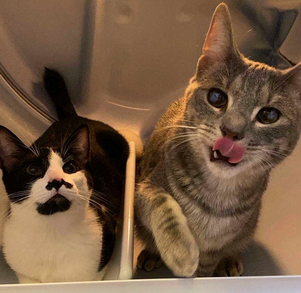 Eliot And Petey